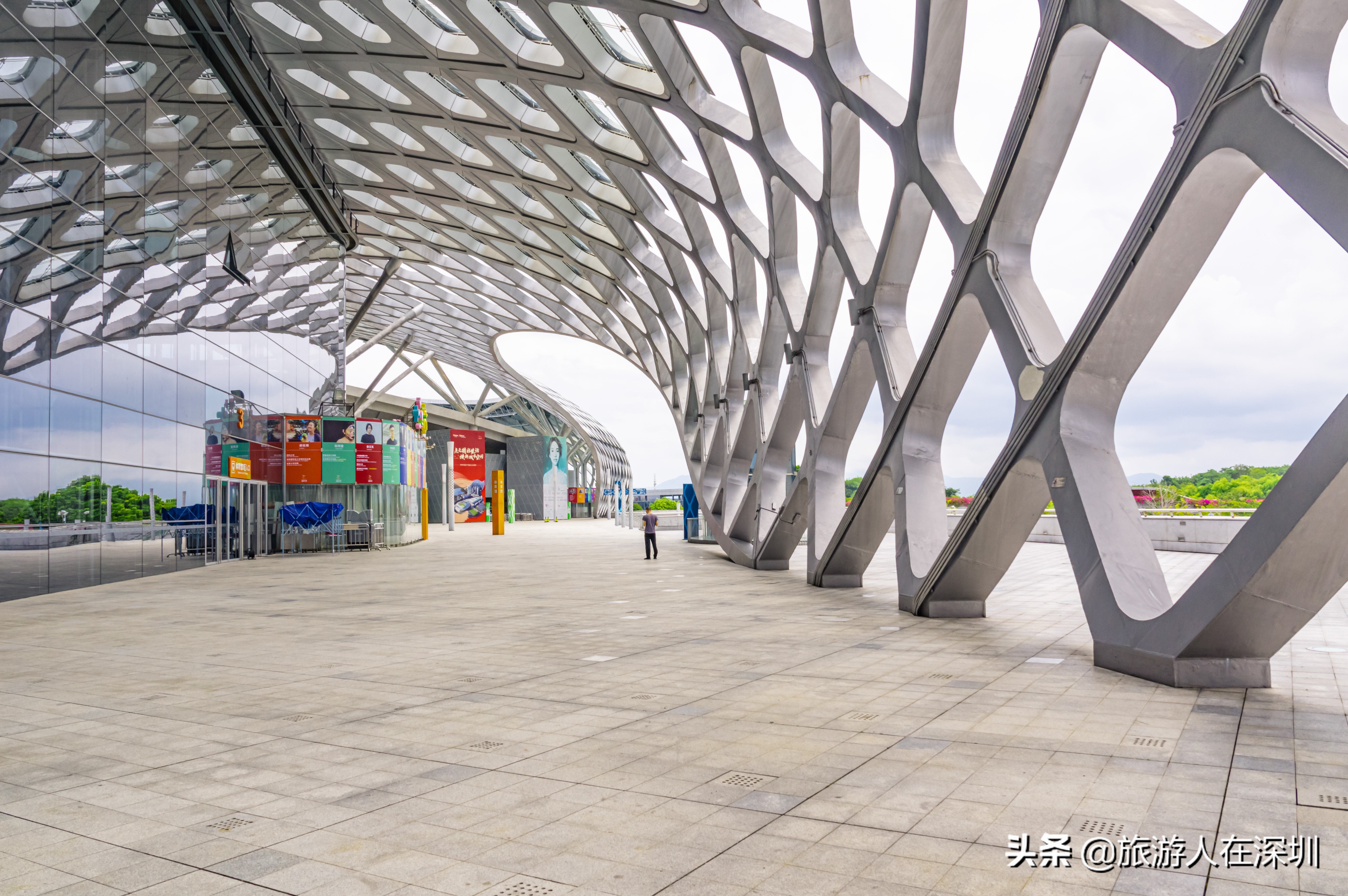 鸟巢体育场建筑特点,深圳湾体育中心像什么