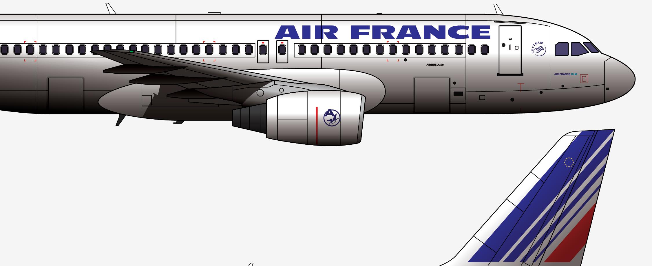 “波音种树”梗是这么来的,回顾法国航空296航班6.26哈沙姆空难