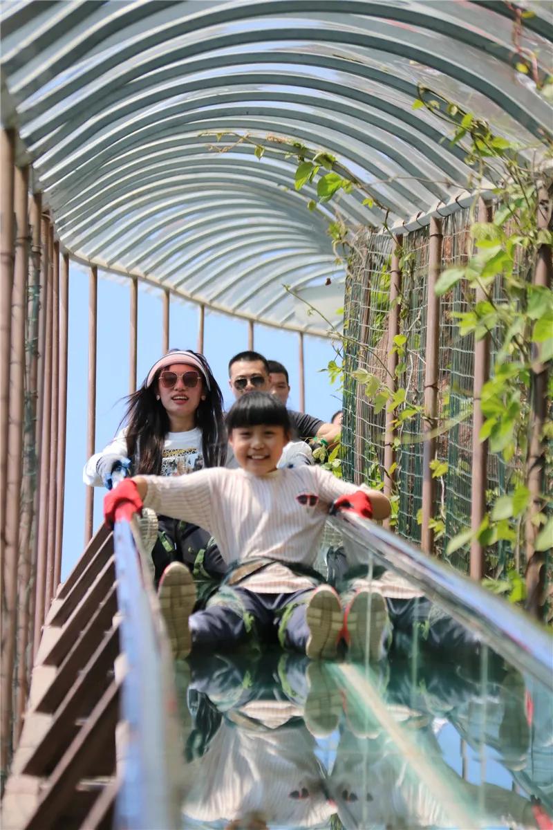 抱犊寨高考生优惠,中考生免费福利