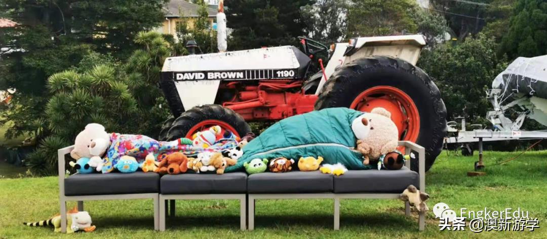 封城期间，玩偶一家的生活大揭秘