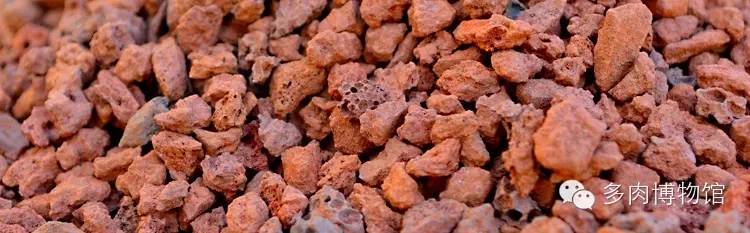 多肉用什么土长得快怎么配土,新手养多肉怎么配土最好