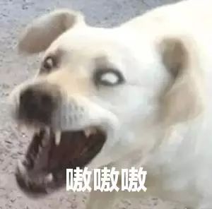 碰瓷娇兰、重金属超标，这家披日本皮的10元店你一定买过