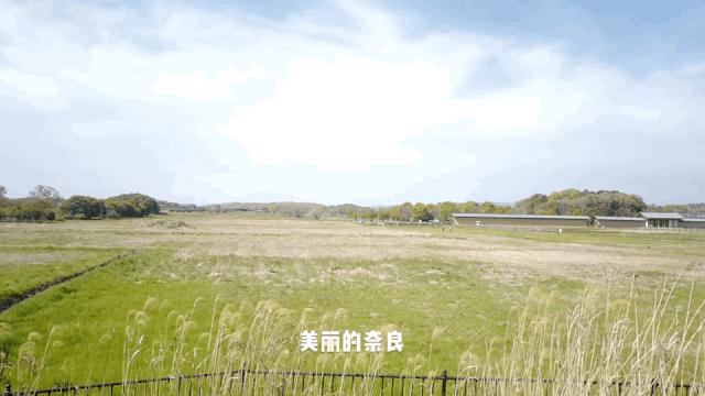 超级妈妈带5个孩子,超级妈妈带娃第一季