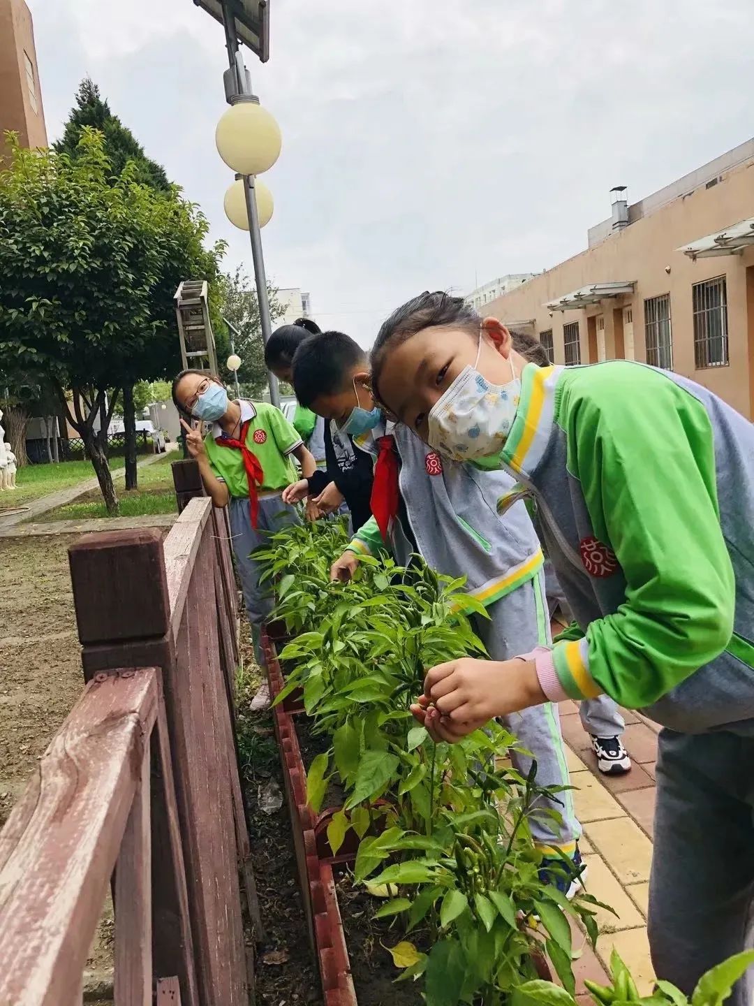 北京所有小学排名一览表,北京30所小学排名一览表
