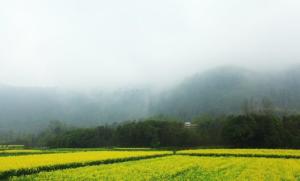 芜湖三山概况介绍,芜湖三山区涵盖哪些地方