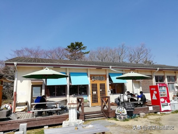 猫奴们都想去的圣地日本的猫岛,日本猫岛猫咪