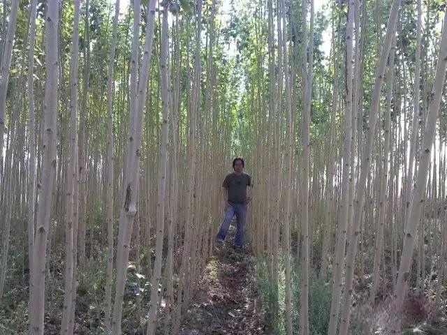 让农业回归原生态,呼唤传统农业回归