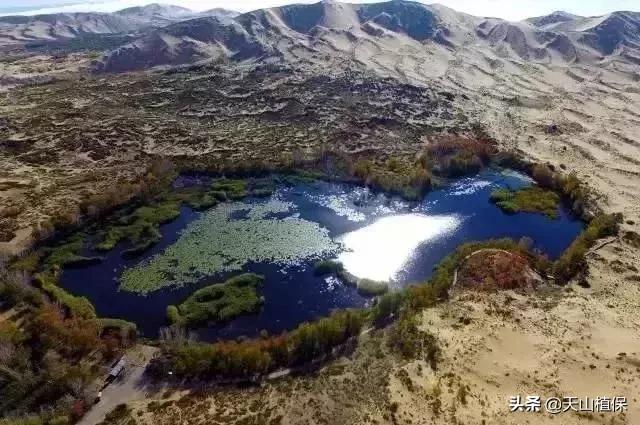 伟大的新疆,伟大的阿勒泰