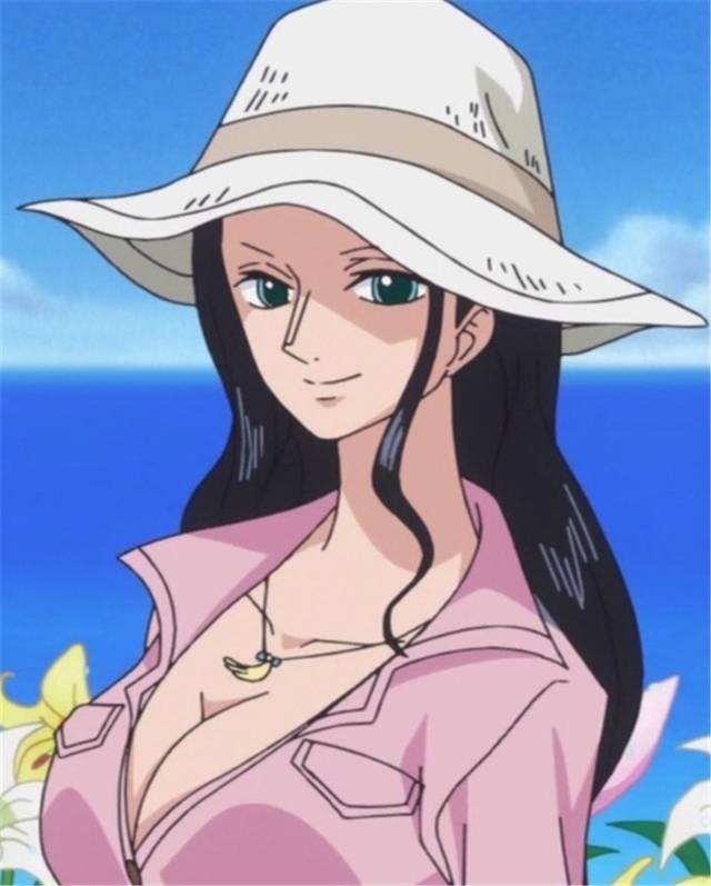 海贼王里十大最漂亮的女性,海贼王女性角色介绍大全