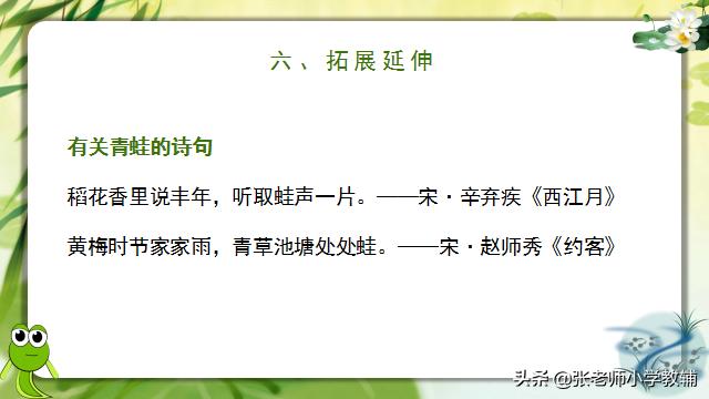 小蝌蚪找妈妈课程分享ppt,小蝌蚪找妈妈ppt教师讲解视频