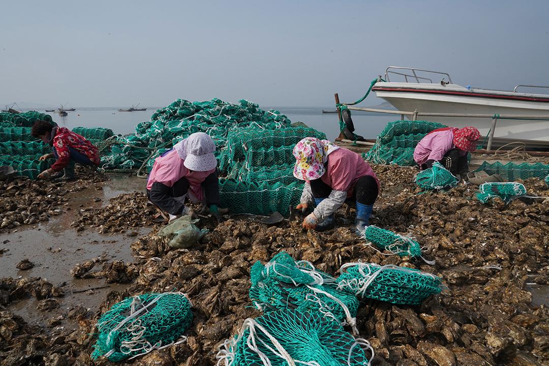 乳山生蚝怎么吃最好,乳山生蚝舌尖上的美食