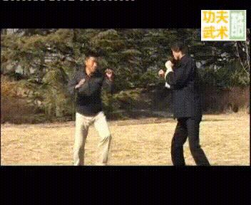 经典武术格斗技巧,各种武术格斗技巧