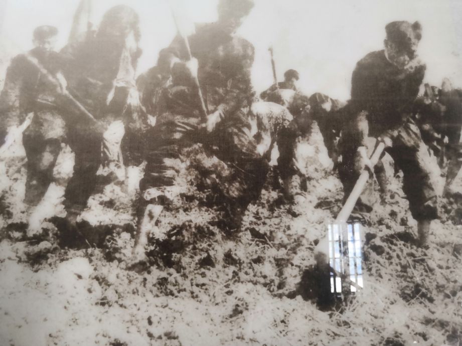 《山沟沟里飞向蓝天的雄鹰》～蔡鑫