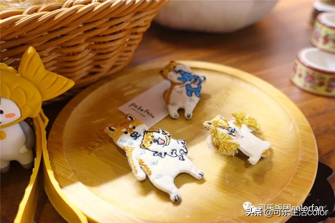 撸柴宠物乐园,广州番禺撸狗圣地