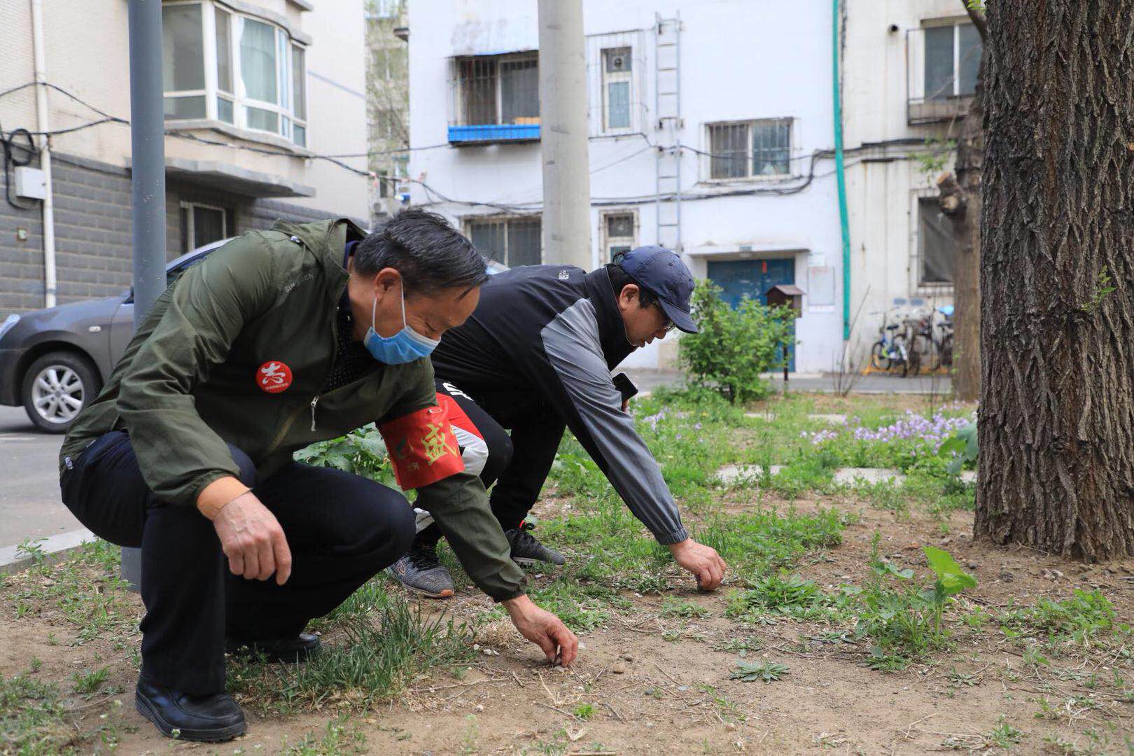 沈阳市福康社区,沈阳福康社区