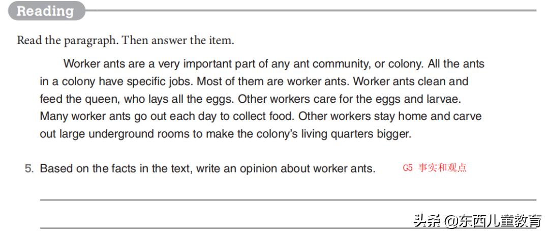 免费美国数学练习册,既能学习数学英语又免费的软件