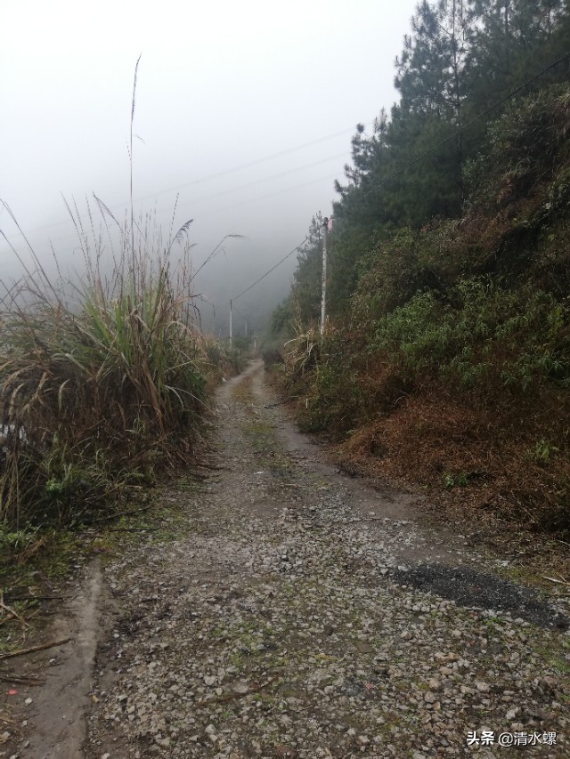 看到这个老铁路洞口，我莫名的伤心，童年的记忆都给我勾出来了