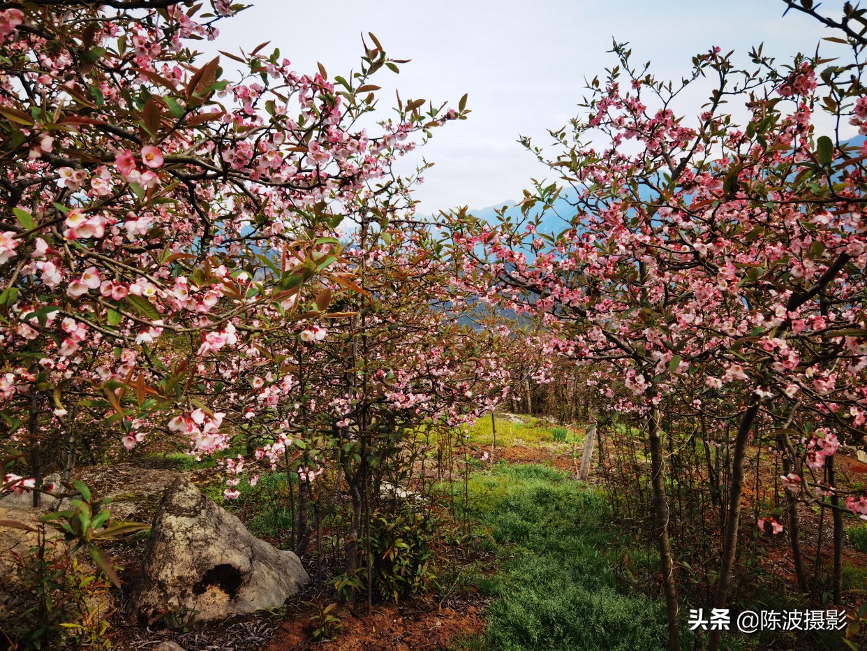 赞美湖北省三峡风景的诗词七绝,旅游三峡诗七绝