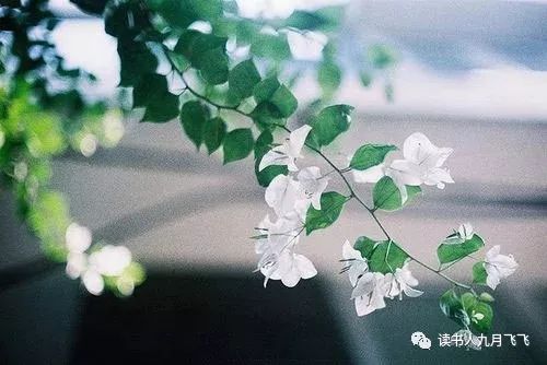 普通人如何投资赚钱,普通人怎样投资最好