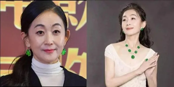人间异类陈瑾,陈瑾20年不结婚不生孩子