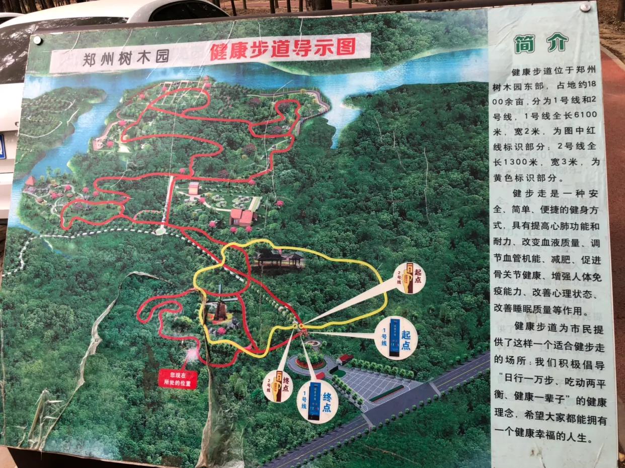 郑州免费公园树木园,郑州树木园开放