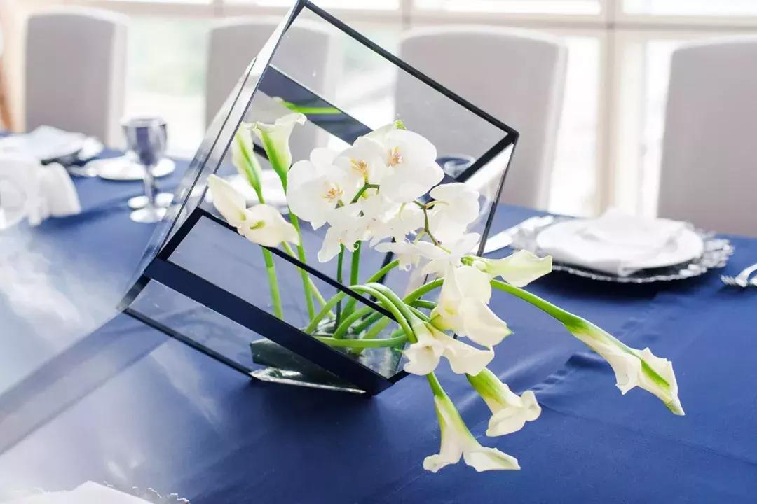 马蹄莲插花怎么养时间长,马蹄莲鲜花养护