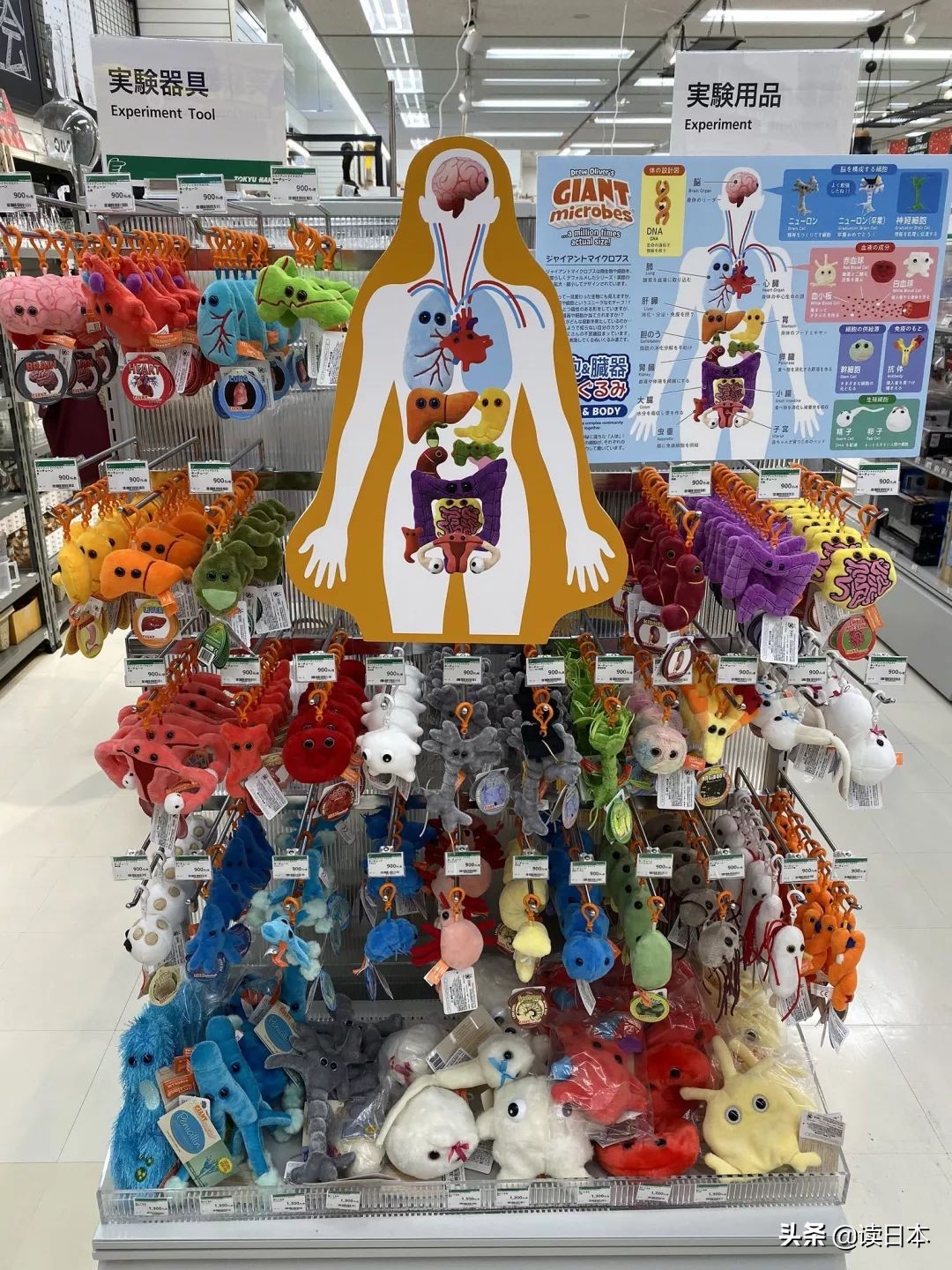 “*体器人官**”挂件或成为日本最新潮流？网友：我的钱包又要哭了