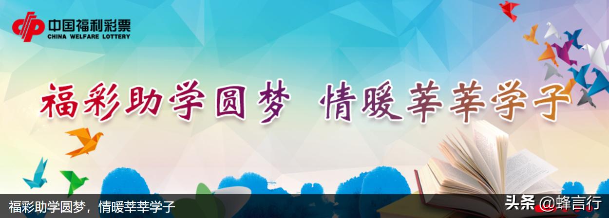 福彩销售额最高的彩票是哪一种,全国购买彩票省份排行