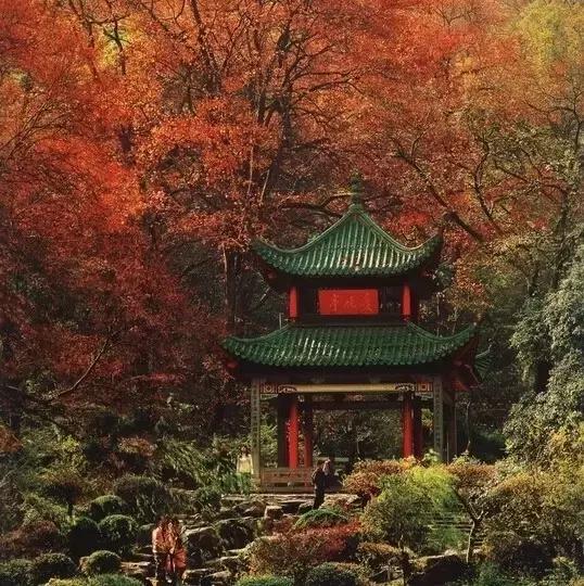 亭台楼阁轩榭廊舫的区别简笔画,关于亭台楼阁轩榭廊舫的视频