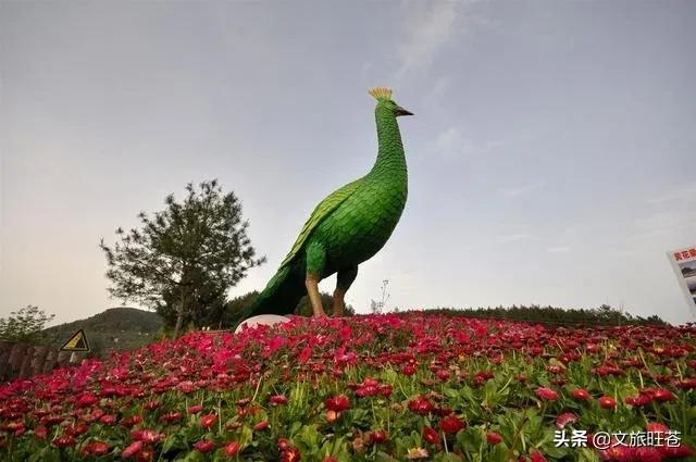 今年春节，留在旺苍过年吧！此心安处是吾乡