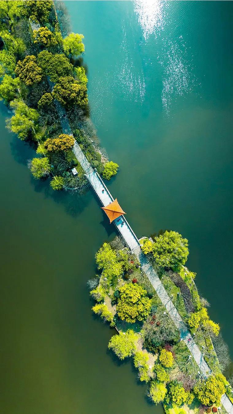 中大御湖壹品,中大豪盛御湖壹品