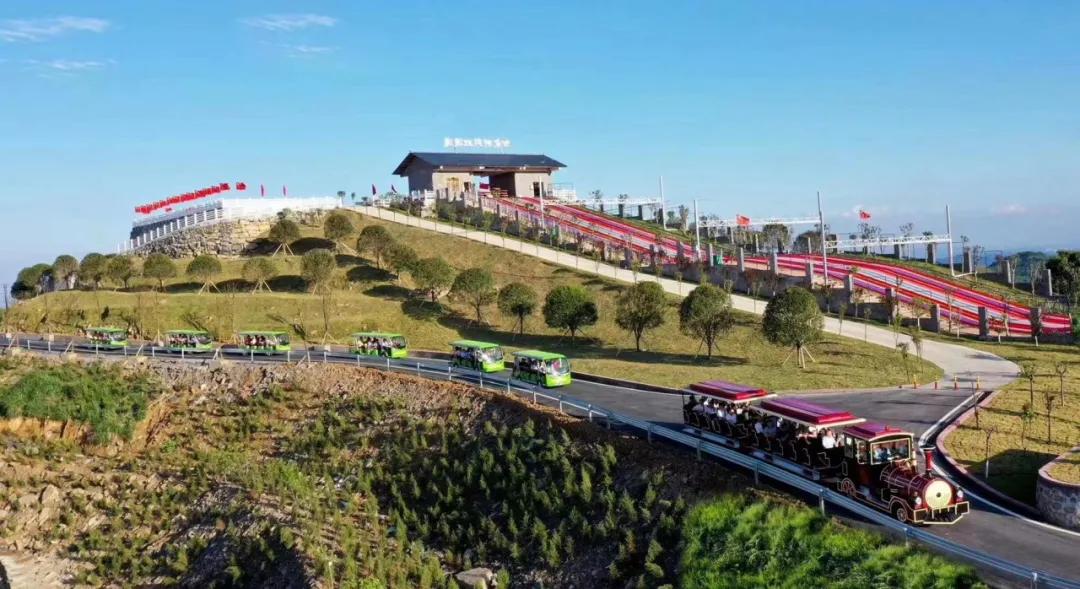 后疫情时代，我们还需要旅行社吗？