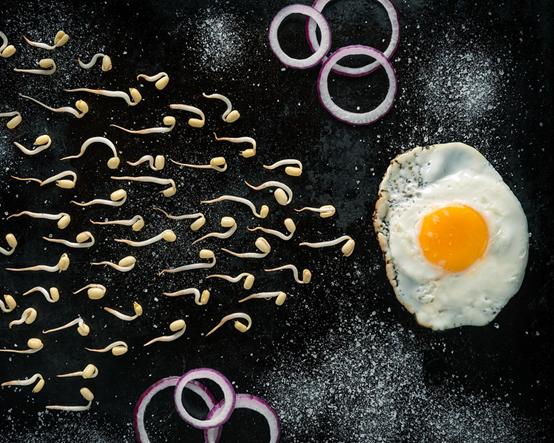 生儿育女注意事项,x精子和y精子哪个更容易受孕