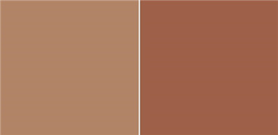 最适合喝的秋天的第一杯奶茶,这才是秋天第一杯奶茶该有的样子