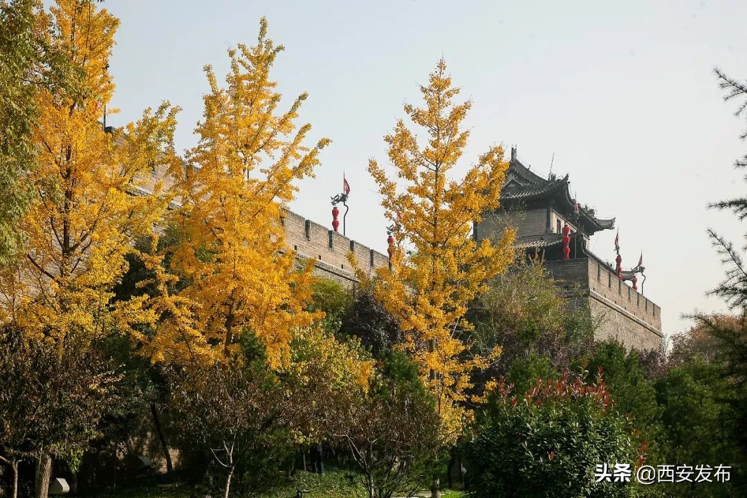 西安赏秋,西安赏秋红叶好去处