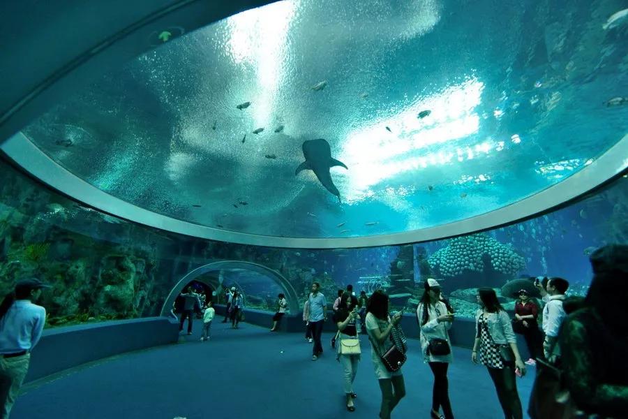 珠海长隆海洋王国景观,珠海长隆海洋王国设计