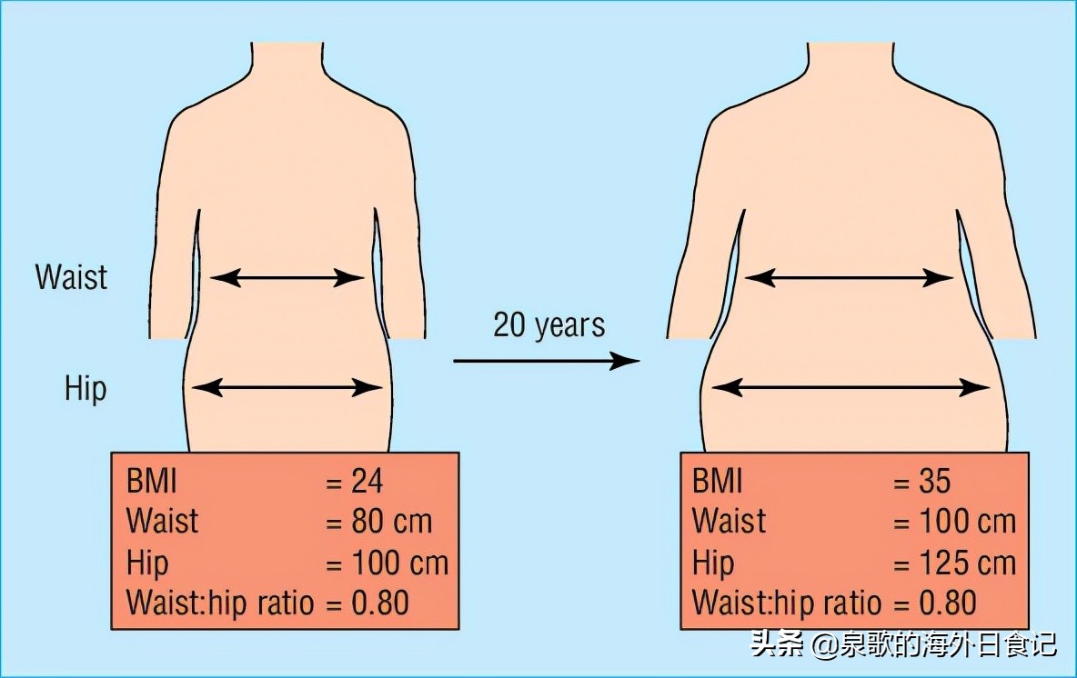 腰臀比对应身材图片,腰臀比健康比例多少