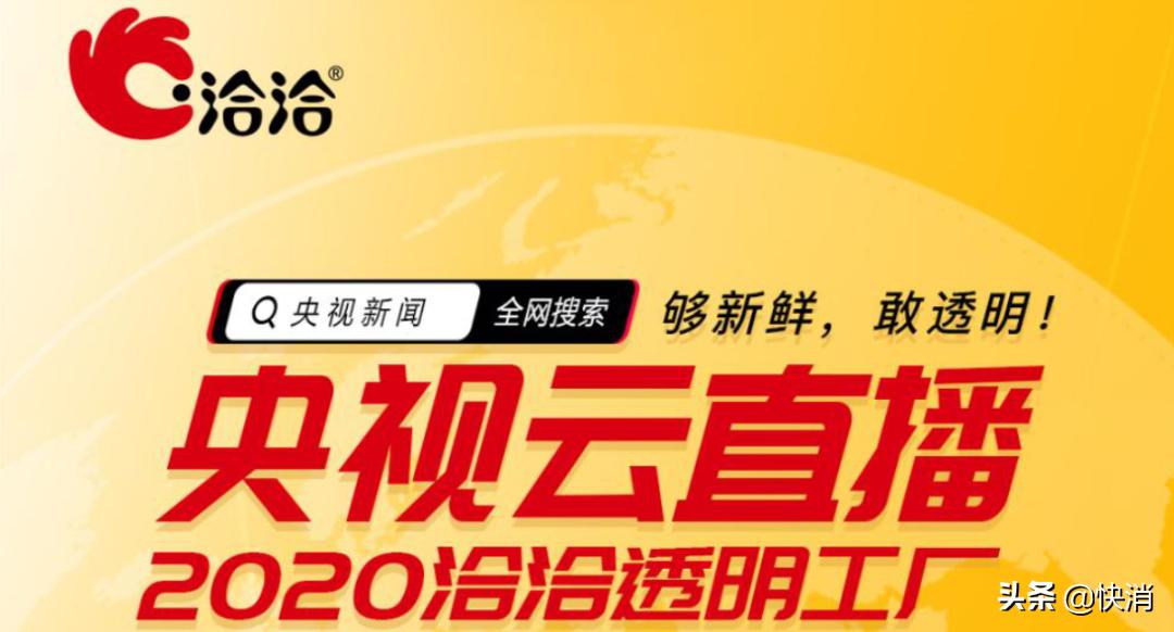 洽洽央视直播,洽洽直播回放