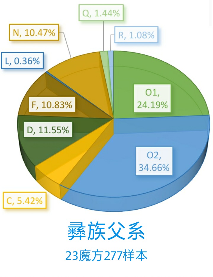 各民族基因对比,中国民族的遗传基因