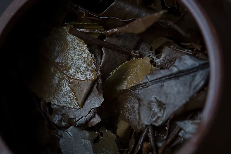 柘荣白茶,柘荣老白茶价格