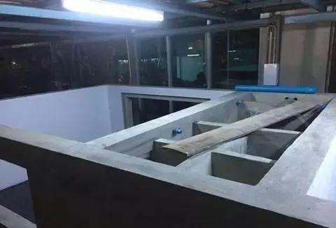 国外某熊孩子自告奋勇去擦缸把龙鱼吓脱臼了！