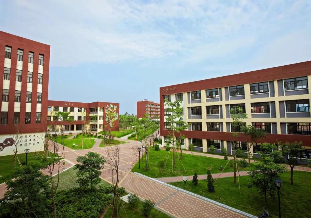 惠州高考黑马学校,惠州市惠城区的高考升学率排名