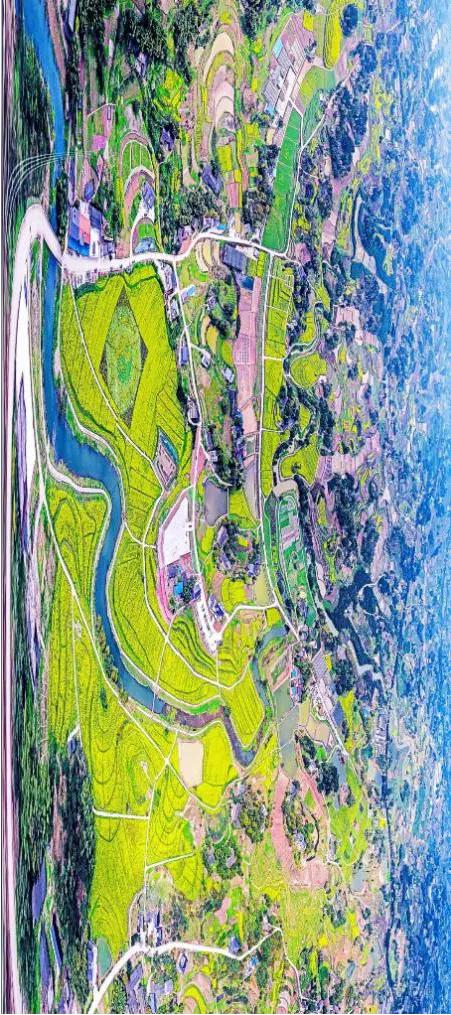 江小白是最好喝的酒,江小白讲酒文化