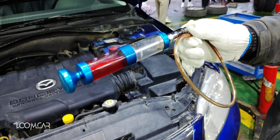 马六之前的马六,马六的成长史