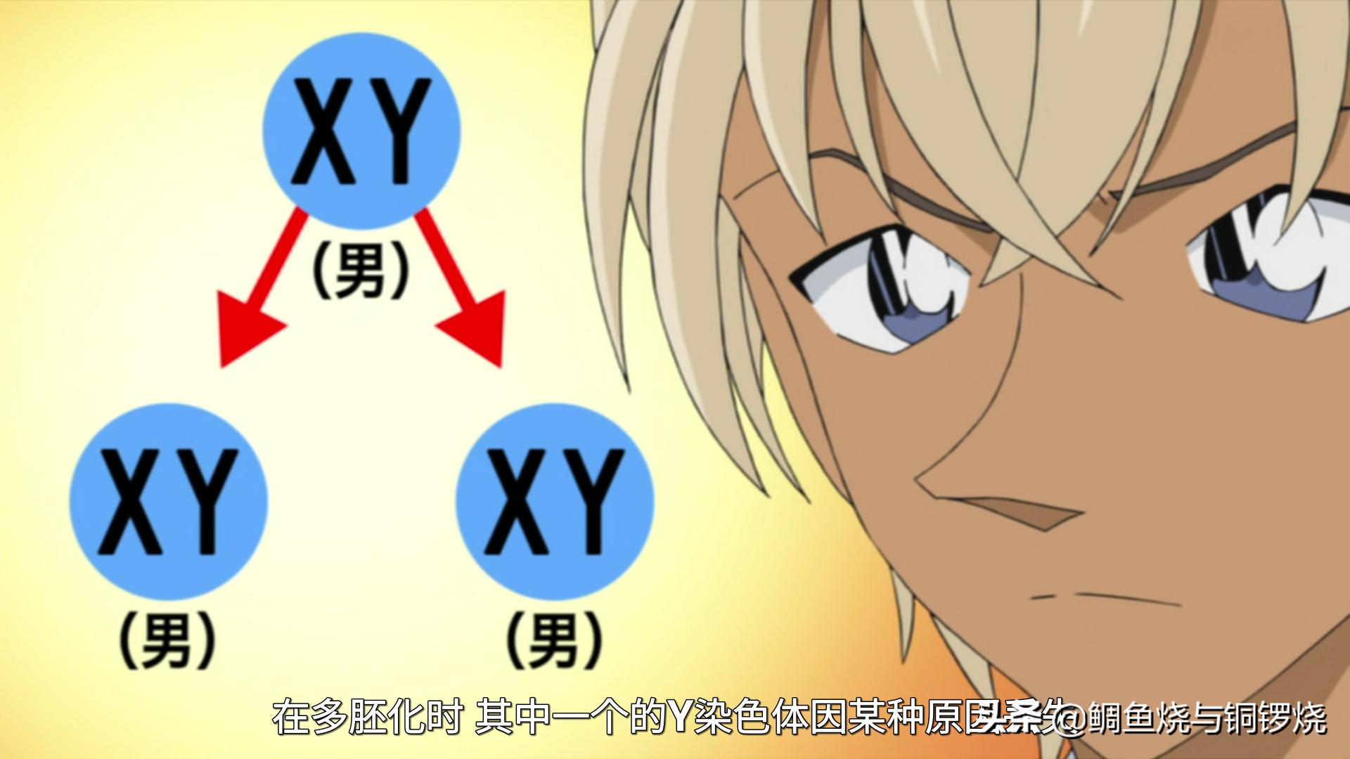 名侦探柯南安室透身份,名侦探柯南安室透个人资料