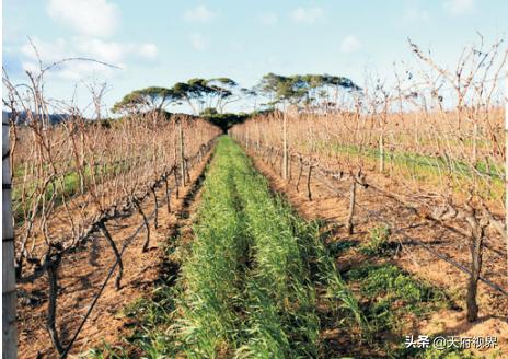 世界第八大奇迹米尔福德,世界第八大奇迹阅读短文答案