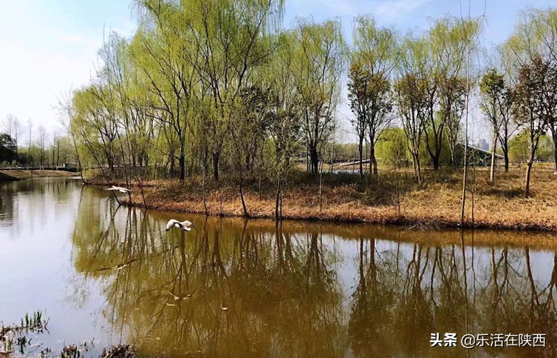 西安旅游攻略门票优惠政策最新,西安门票免费景点攻略最新