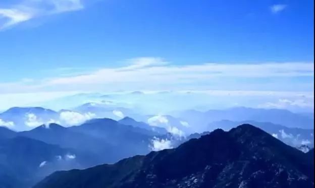 眉县猕猴桃为什么能上央视,眉县猕猴桃品牌故事