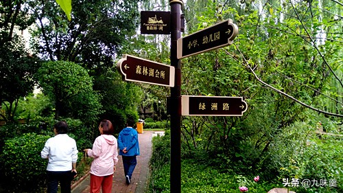 中国天然氧吧之城郑州,郑州周边森林氧吧