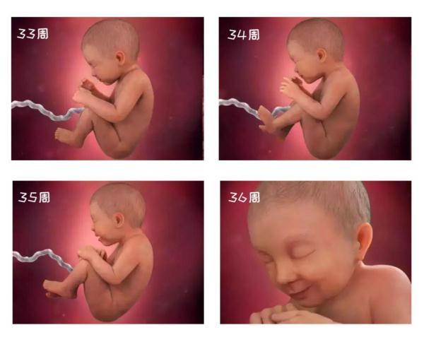 孕21周胎宝发育情况,你知道怀孕多久胎宝发育成熟吗